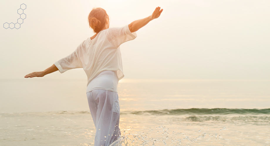 Fusce vel tellus vulputate, dignissim turpis sit amet, aliquet mi