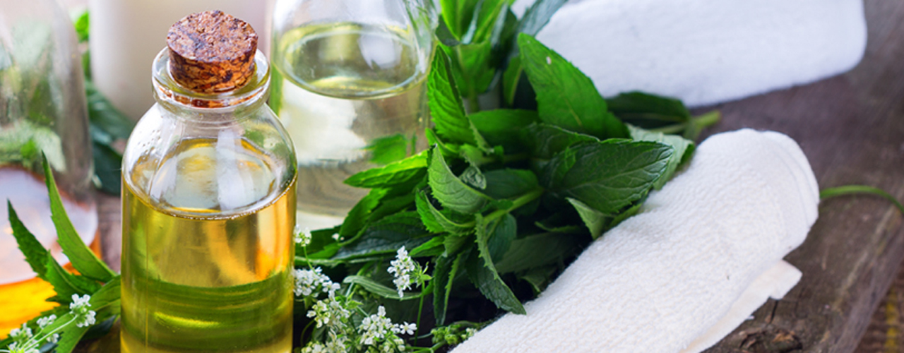 Nulla sed ipsum pellentesque, interdum magna non, eleifend